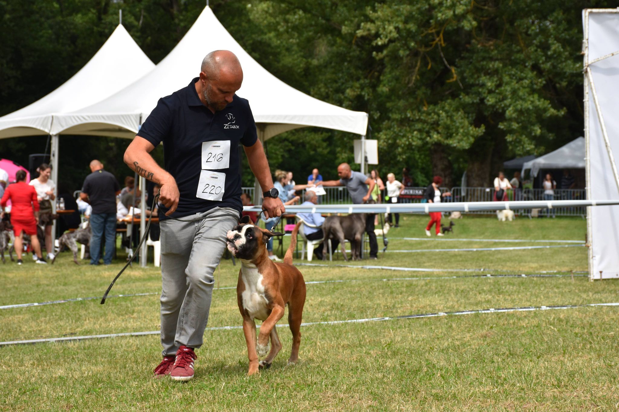 A man holds a leash and runs in a circle with a yellow dog looking him in the eye