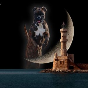 A dark dog jumps over the moon into the sea near the lighthouse