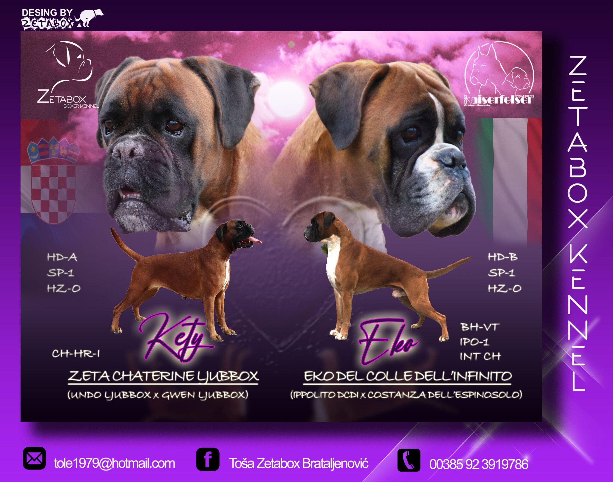 Two German boxers stand opposite each other on a purple background