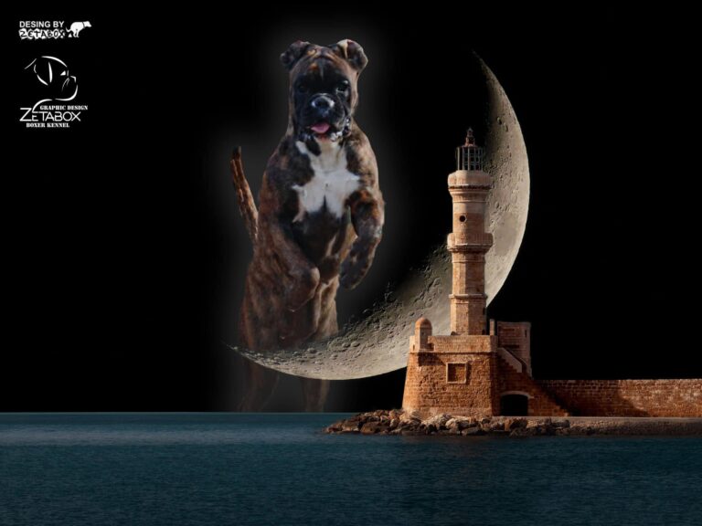 A dark dog jumps over the moon into the sea near the lighthouse